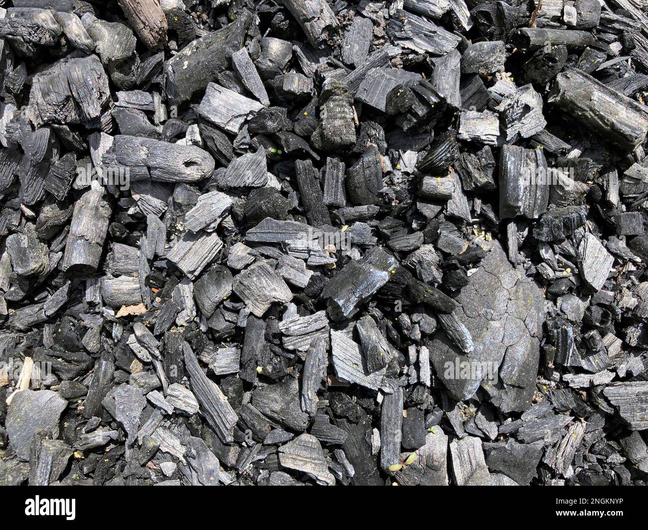 Sfondo nero a struttura di carbone. Macro carbone sfondo, carbone, barbecue grill carbone vista dall'alto. Sfondo nero a struttura di carbone. Primo piano Foto Stock