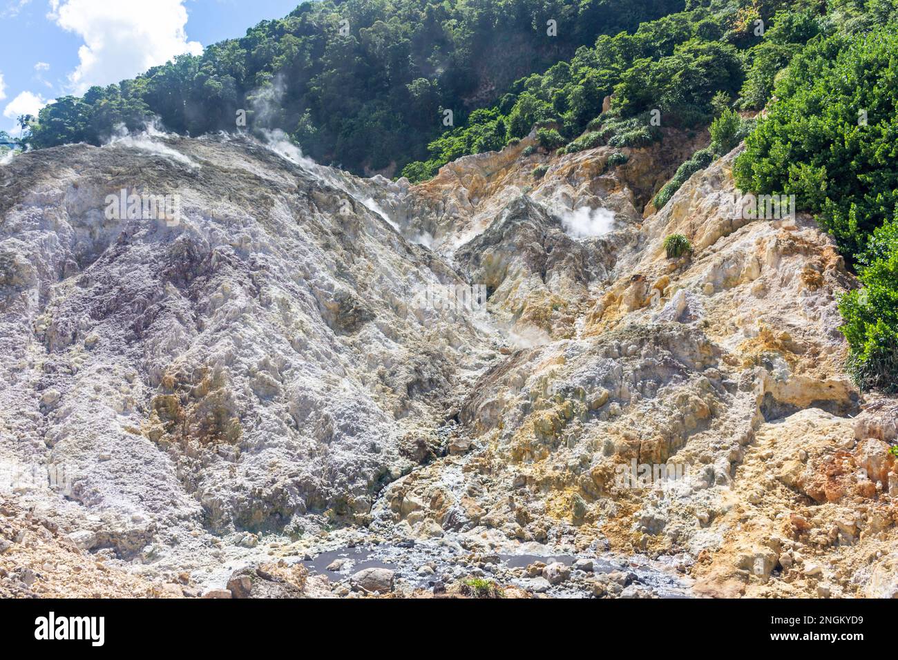 Area geotermica di Sulphur Springs (Soufriere Drive in Volcano), Malgretoute, quartiere Soufrière, Santa Lucia, piccole Antille, Caraibi Foto Stock