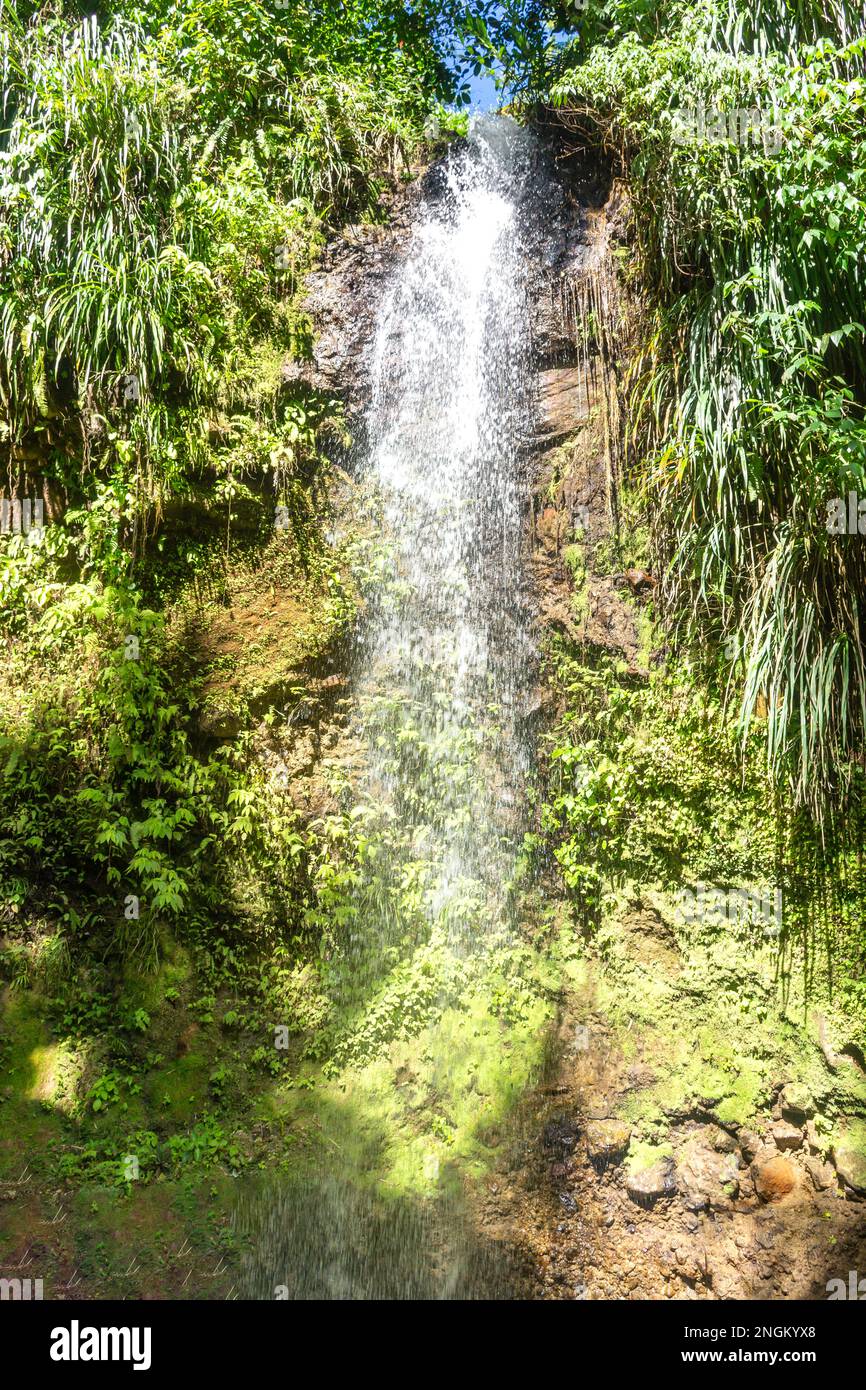 Cascata di Toraille, Toraille, Distretto Soufrière, Santa Lucia, piccole Antille, Caraibi Foto Stock