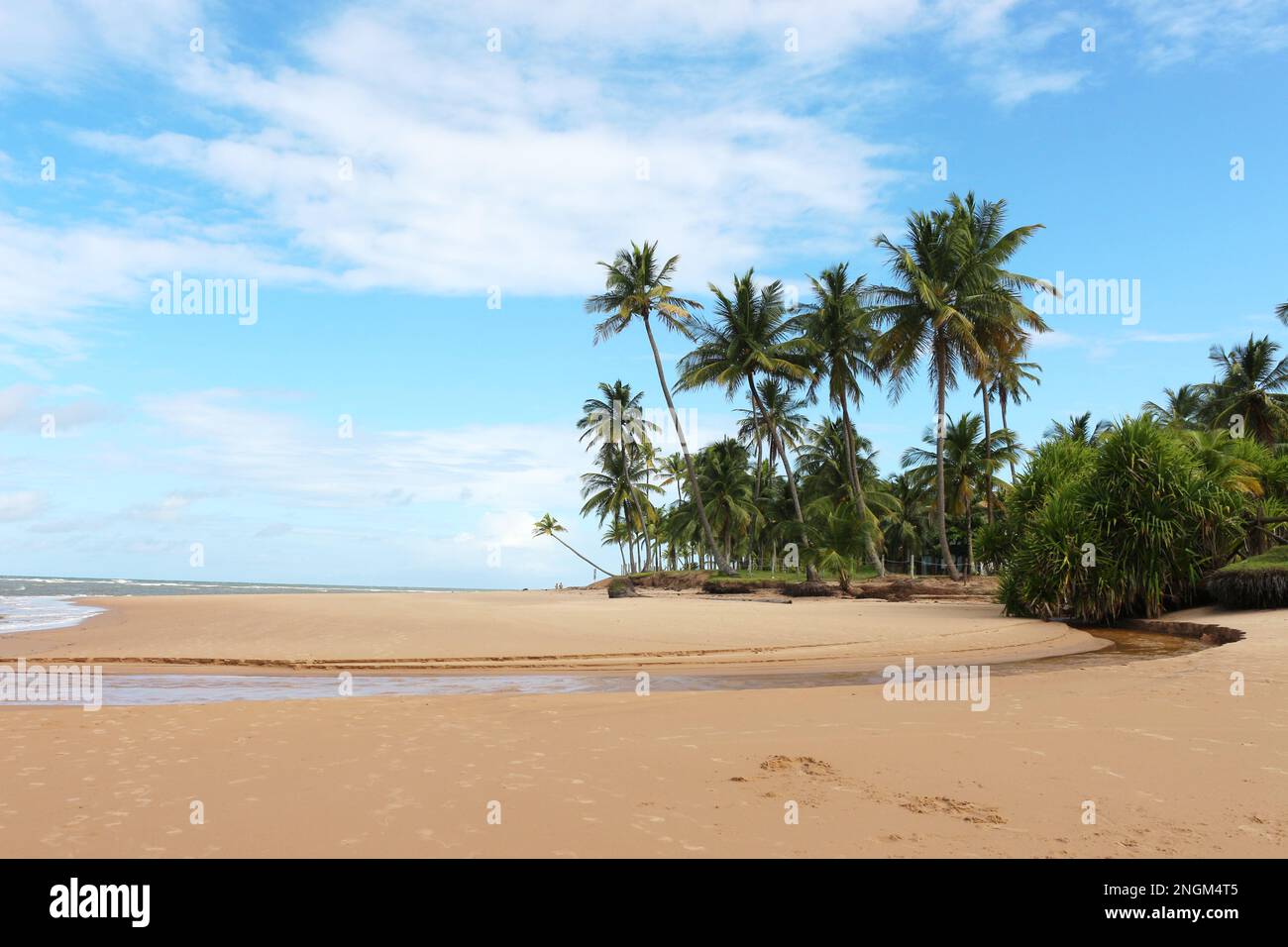 Bahia e le sue spiagge - le spiagge del comune di Camamu, nel sud di Bahia, sono spiagge di esuberanza naturale Foto Stock