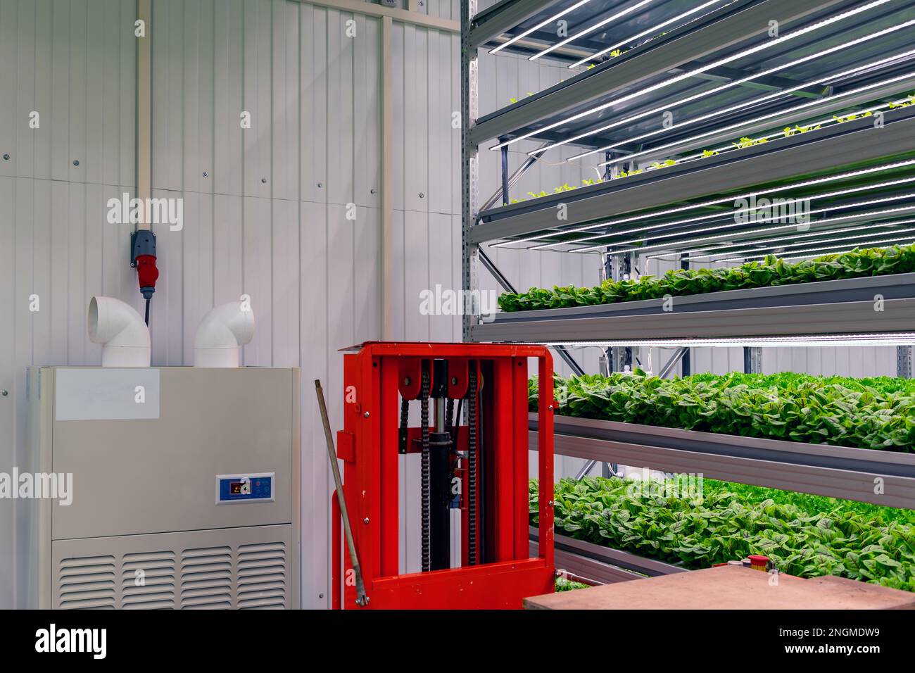 Ascensore e trasformatore tra rack con microgreens giovani in pentole sotto lampade a LED in idroponica interni. aziende agricole verticali. Foto Stock