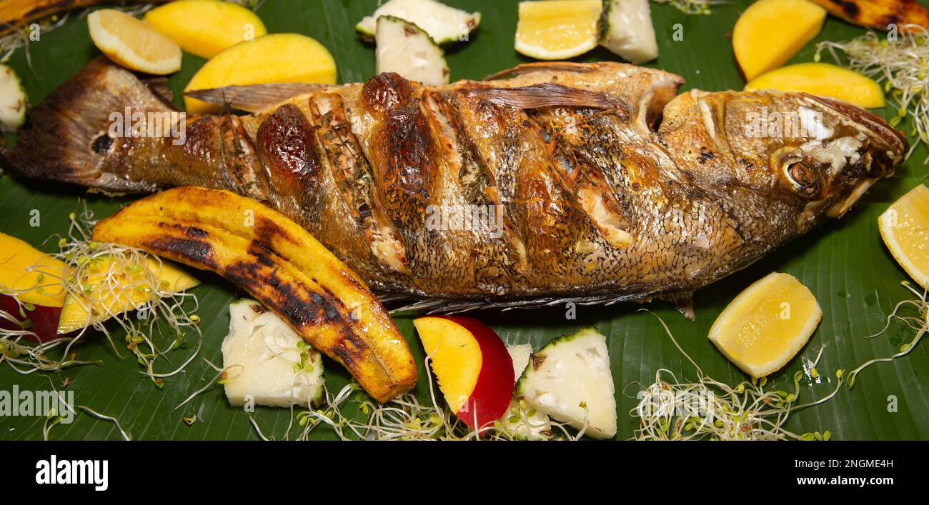 Pesce tropicale Tucunaré selvatico (Cichla ocellaris). Primo piano di pesci amazzonici di acqua dolce Foto Stock