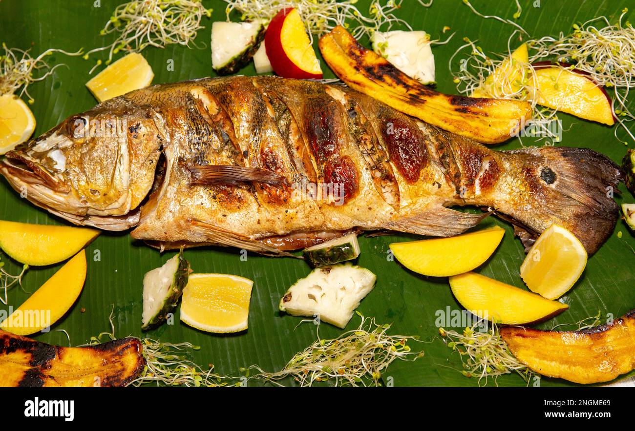 Pesce tropicale Tucunaré selvatico (Cichla ocellaris). Primo piano di pesci amazzonici di acqua dolce Foto Stock