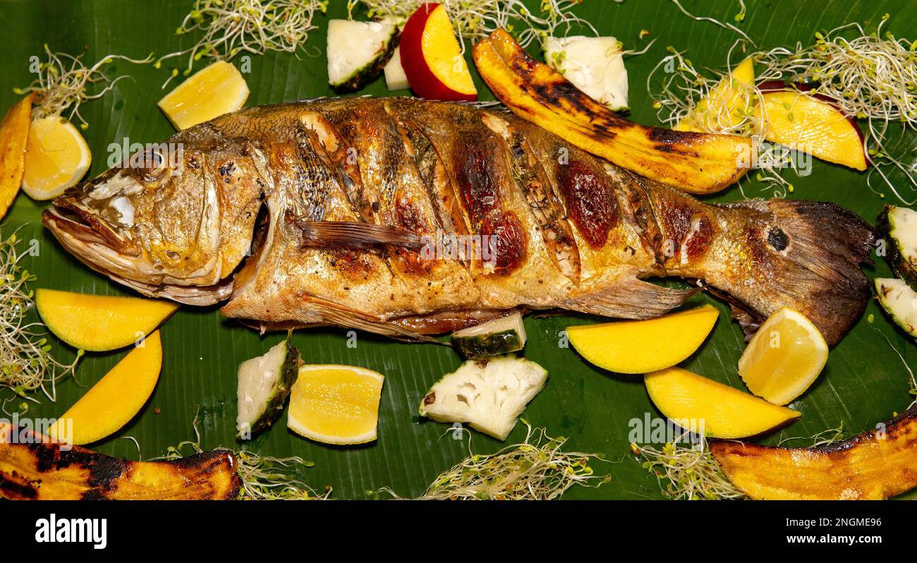 Pesce tropicale Tucunaré selvatico (Cichla ocellaris). Primo piano di pesci amazzonici di acqua dolce Foto Stock