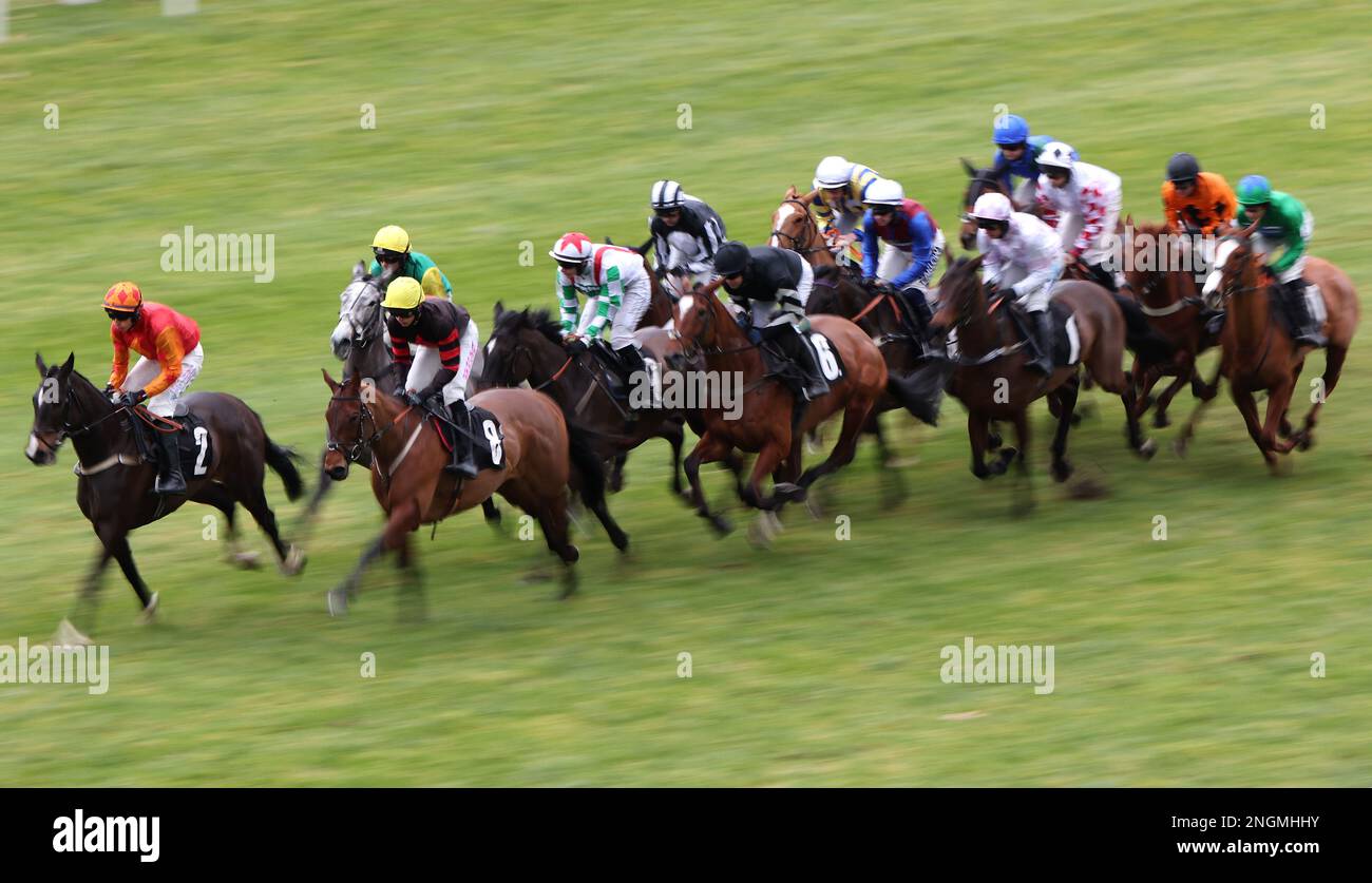 Corridori e cavalieri nel British European Breeders' Fund EBF Mares' Open National Hunt Flat presso l'ippodromo Ascot, Berkshire. Data immagine: Sabato 18 febbraio 2023. Foto Stock