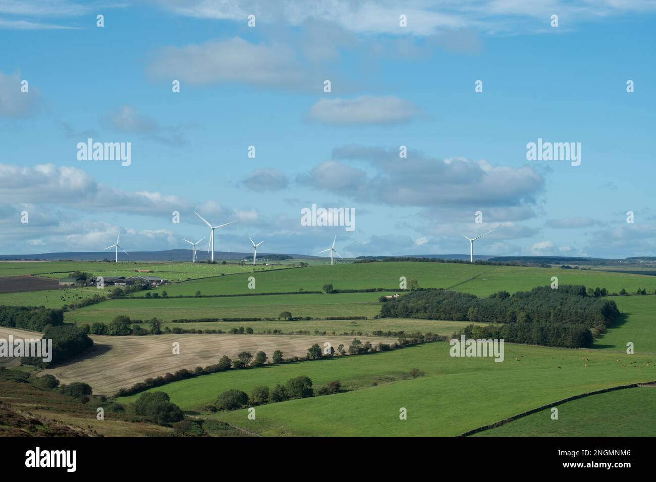 Paesaggio di terreno agricolo aperto con siepi e turbine eoliche lontane Foto Stock