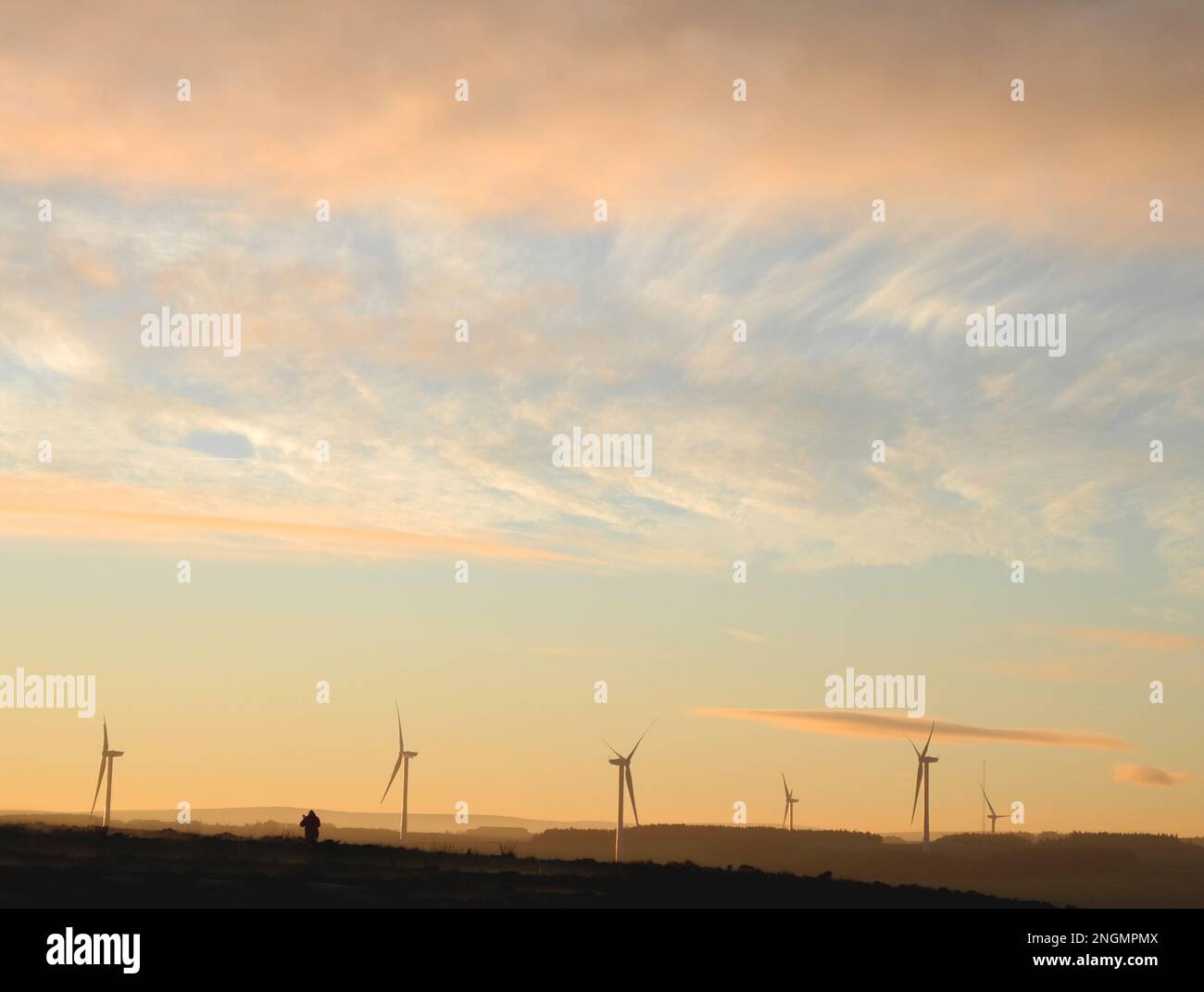 Sole che tintura le nuvole in un grande cielo con sileted cane camminatore e turbine eoliche lontane evidenziate nel bagliore Foto Stock