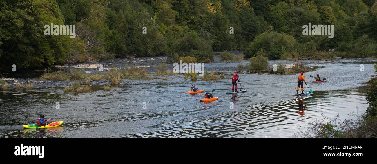 Un gruppo di kayak e pagaie si dirigono lungo il fiume in una giornata di sole in autunno Foto Stock