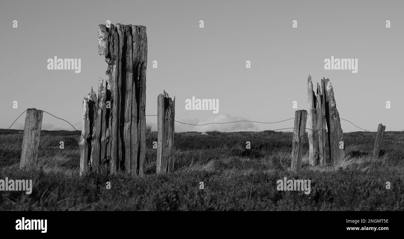 Chiudi l'immagine mono della recinzione in decadenza dopo la vecchia Stanhope e Tyne Railway e ora un percorso per escursionisti e ciclisti Foto Stock