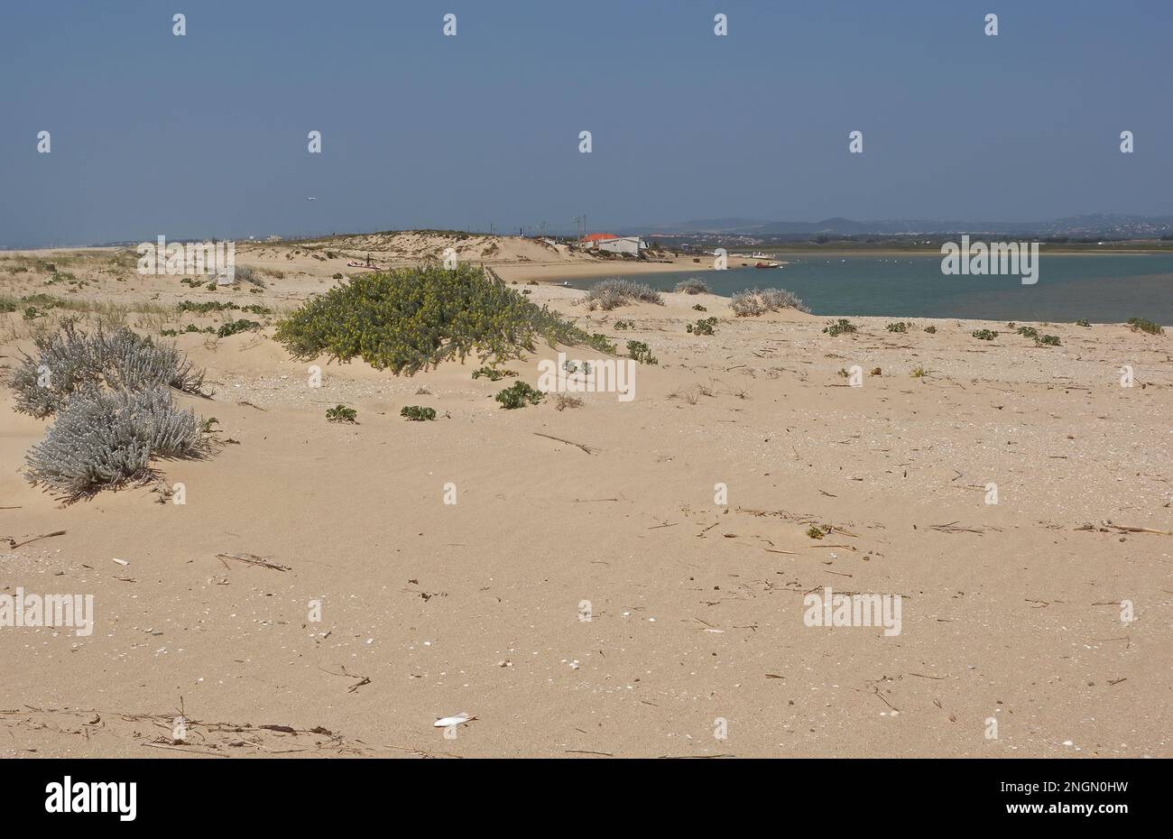 Vista dalla costa di sabbia sull'estuario con il villaggio di pescatori Ria Formosa NP, Algarve, Portogallo Aprile Foto Stock