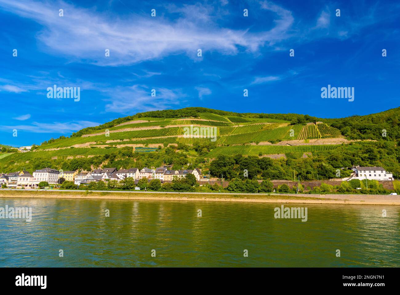 Vigneti e fiume a Ruedesheim Assmannshausen, Rudesheim am Rhein Reno, Rheingau-Taunus-Kreis, Darmstadt, Hessen, Germania. Foto Stock