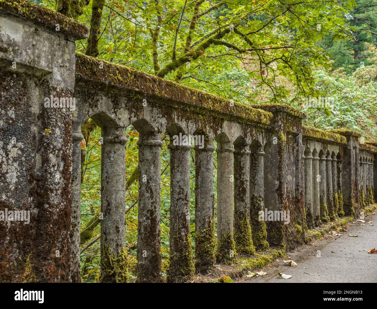 Ringhiere del ponte vicino a Latourrll Falls, Columbia River Gorge National Scenic Area, Oregon. Foto Stock