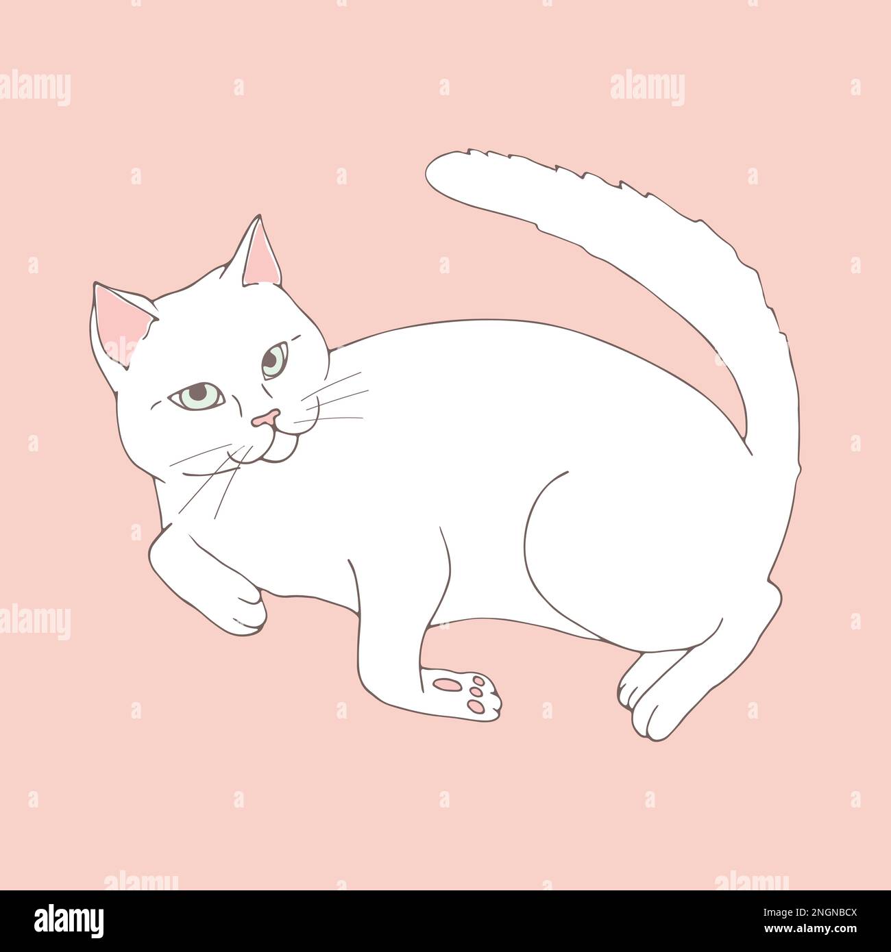 Carino gatto bianco posa su sfondo rosa pastello. Gatto disegnato a mano. Schizzo. Grafica vettoriale Illustrazione Vettoriale