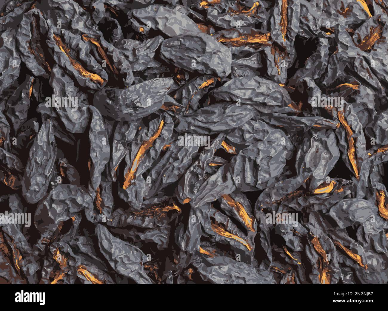 Illustrazione realistica di prugne secche o prugne fondo. Prugne secche, snocciolate. Concetto di cibo sano Foto Stock