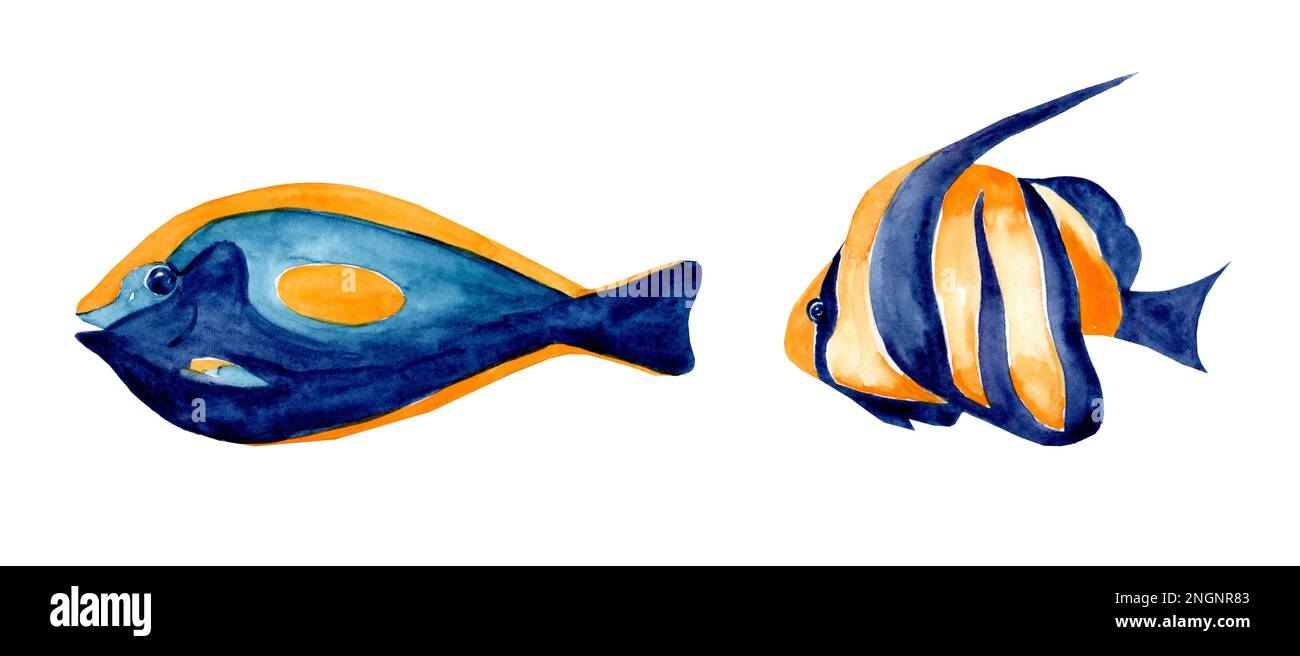 Set di illustrazioni acquerello di pesci su sfondo bianco. Pesci acquario, esotico mondo sottomarino. Pesce della barriera corallina. Pesci acquario. Foto Stock