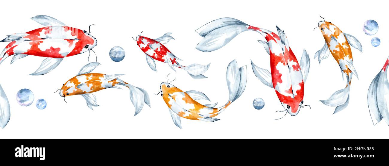 Acquerello fondo orizzontale senza cuciture con carpe arcobaleno. Illustrazioni disegnate a mano isolate su sfondo bianco Foto Stock