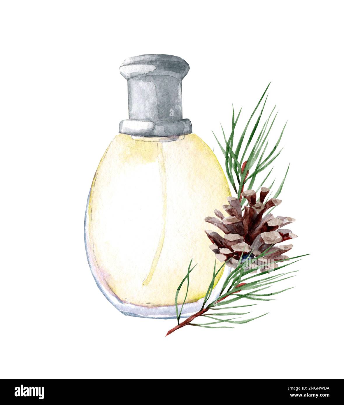 Olio essenziale di conifere in bottiglia per cosmetici, relax, massaggi. Acquerello foresta aroma olio. Design concettuale del profumo. Foto Stock