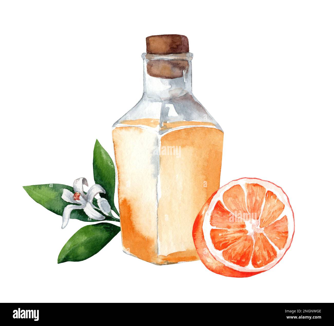 Fiala di vetro con olio aromatico arancione. Neroli. Set di illustrazioni acquerello isolate su sfondo bianco Foto Stock
