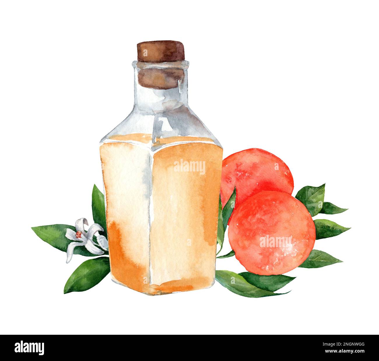 Fiala di vetro con olio aromatico arancione. Neroli. Set di illustrazioni acquerello isolate su sfondo bianco Foto Stock