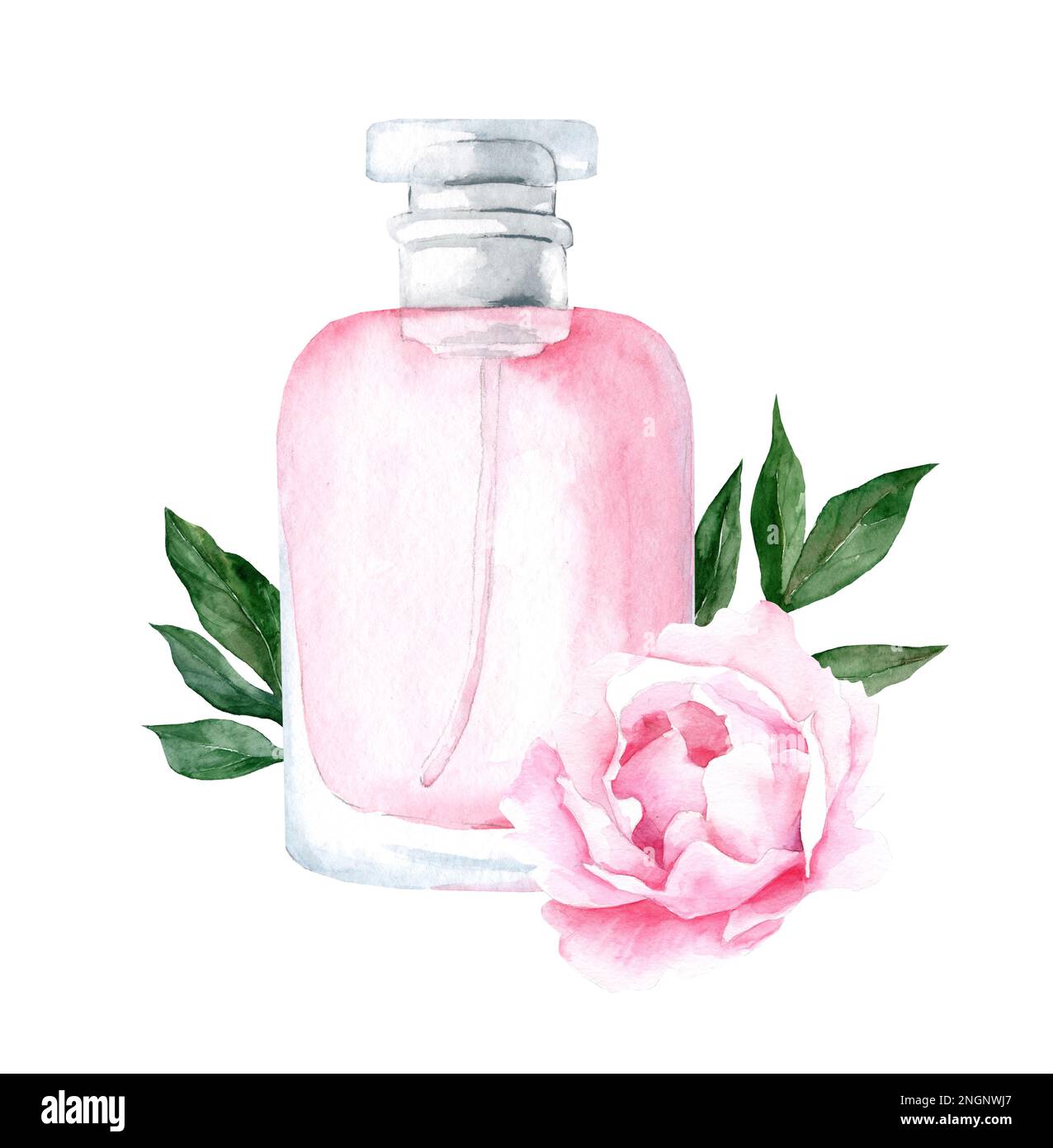 bottiglia di profumo in vetro rosa con fiori di peonia e foglie. Illustrazione disegnata a mano con acquerello Foto Stock