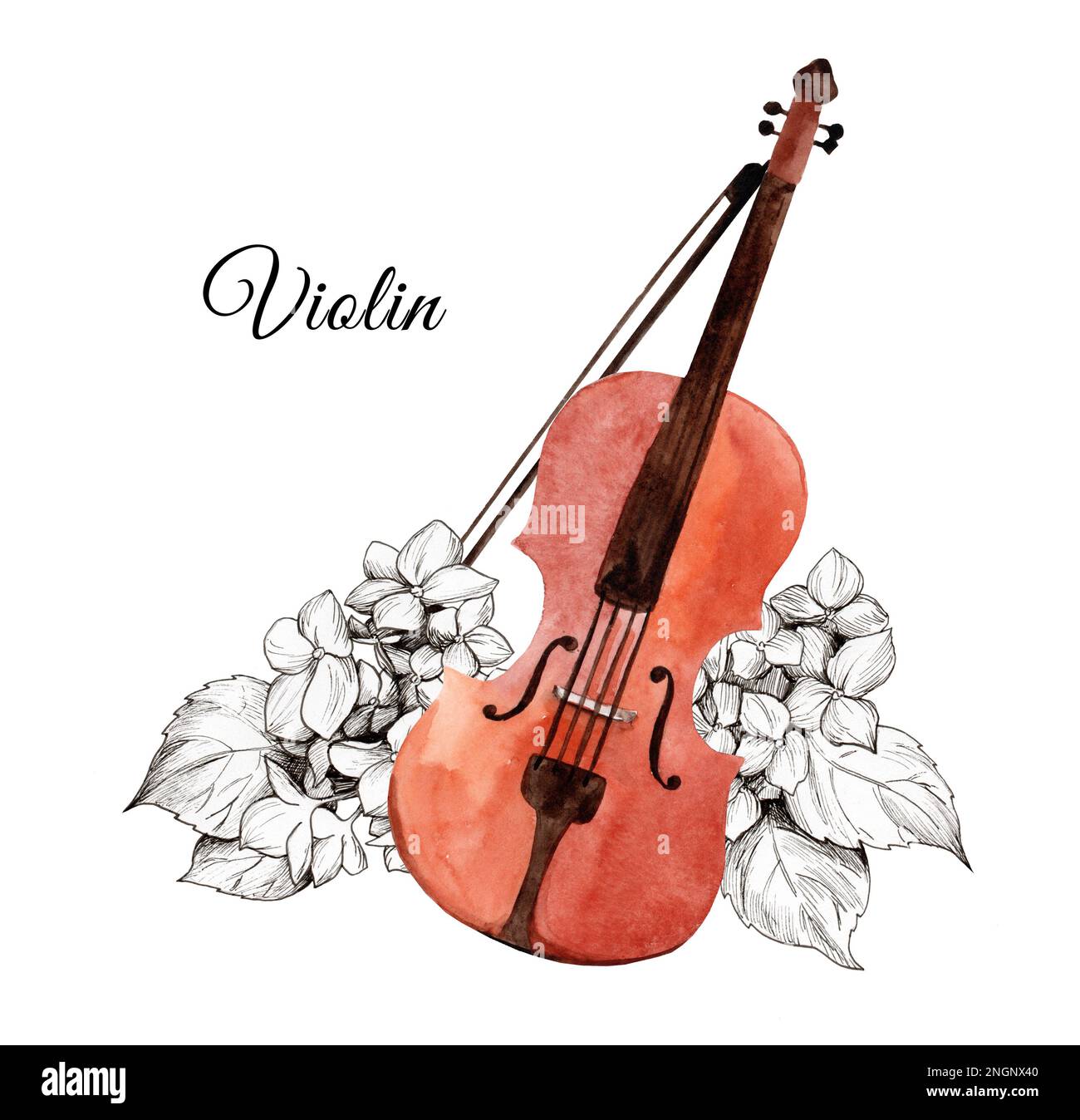 Violino acquerello con fiori grafici di idrangea. strumenti musicali classici Foto Stock