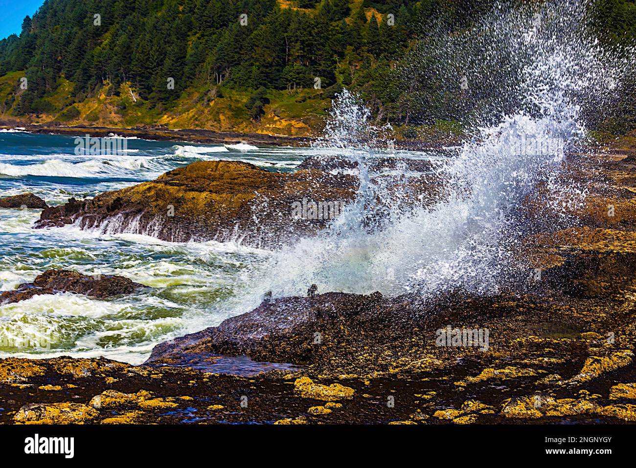 Onde che si infrangono sulla costa dell'Oregon, sull'Oceano Pacifico Foto Stock