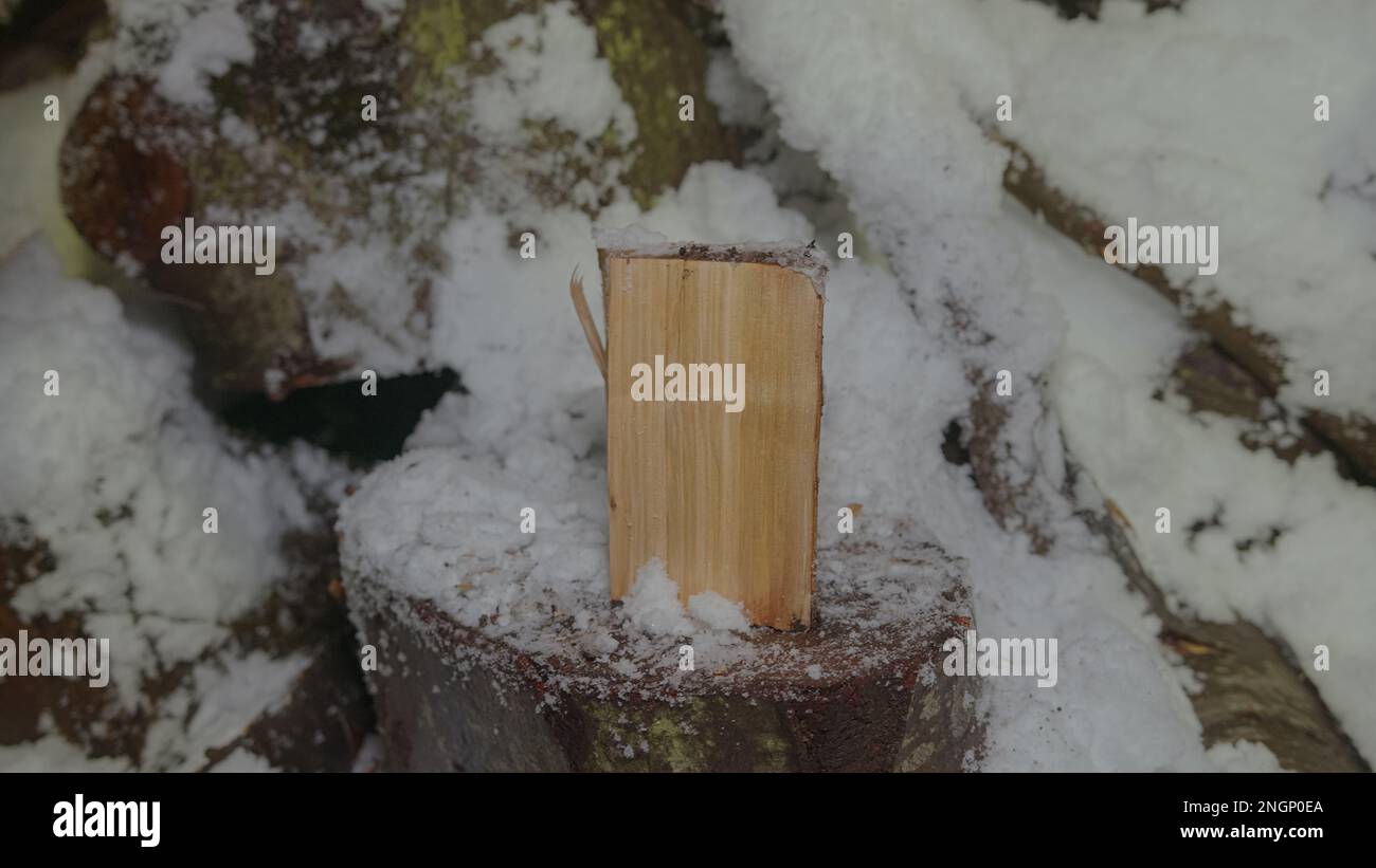 Primo piano di Spaccatura legno con ascia in condizioni di vineria Foto Stock