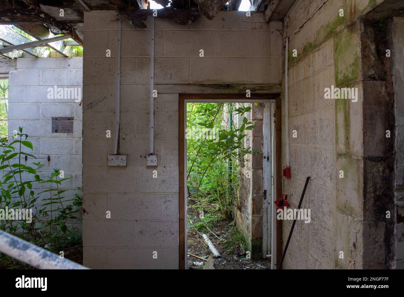 Mid Wales Counties Mental Hospital Foto Stock