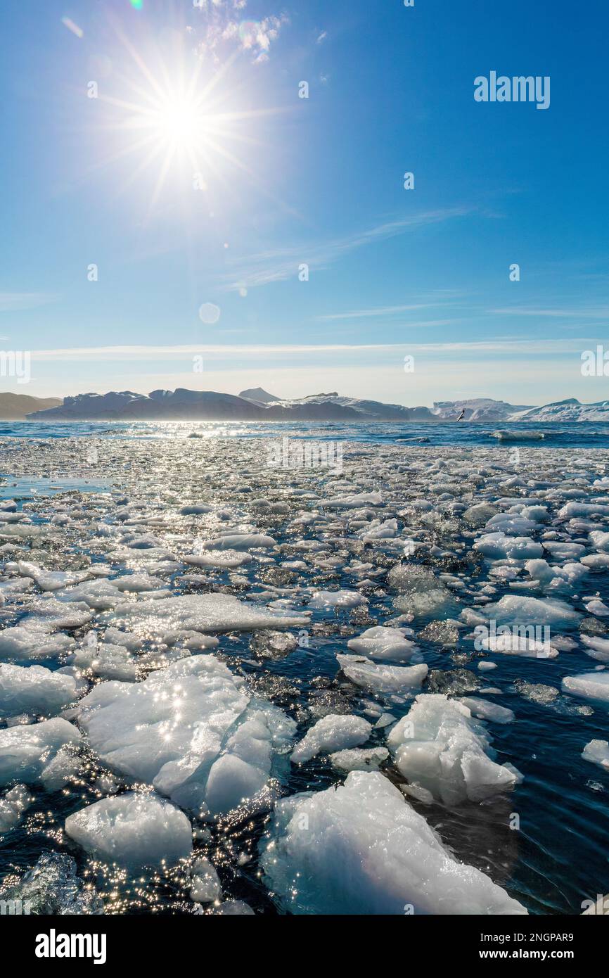 Sole e ghiaccio fondente, Ilulissat Icefjord, Ilulissat, Groenlandia. Foto Stock