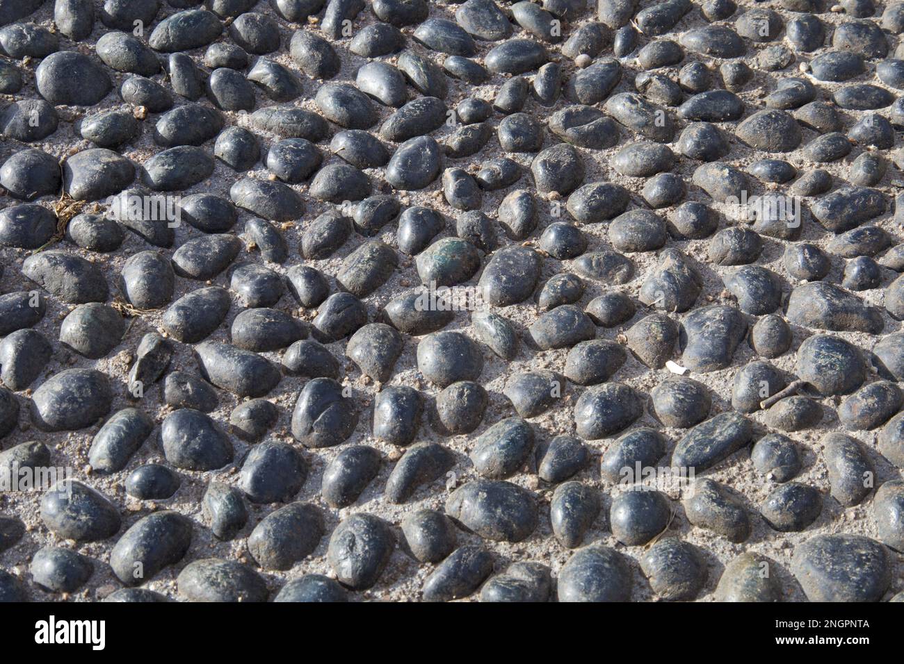 Fondo rock! Rocce nere cementate insieme come la parte inferiore di quello che un tempo era un vecchio stagno. Foto Stock