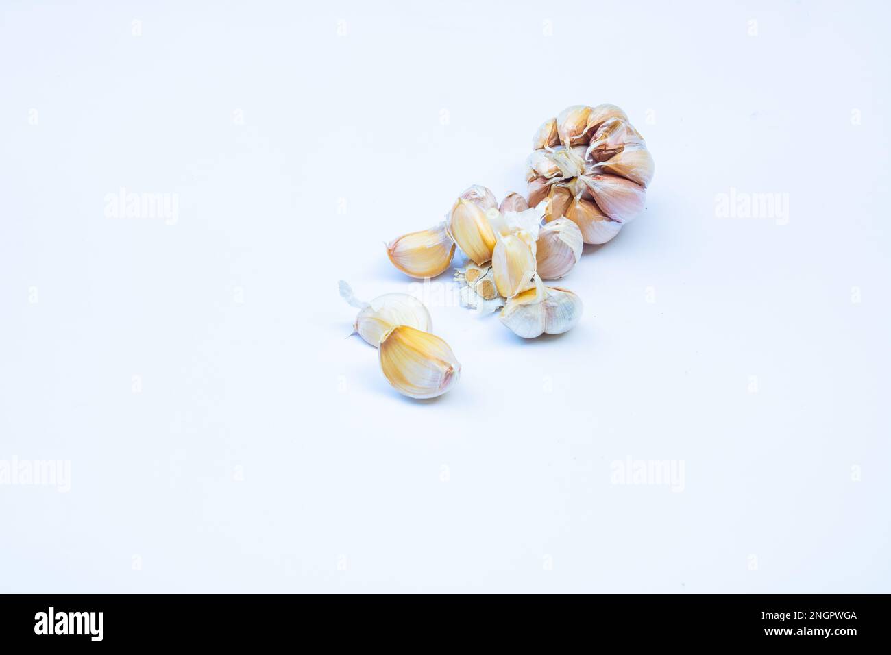 L'aglio (Allium sativum) è una specie di pianta bulbosa del genere Alliumcon una storia di diverse migliaia di anni di consumo umano . Foto Stock