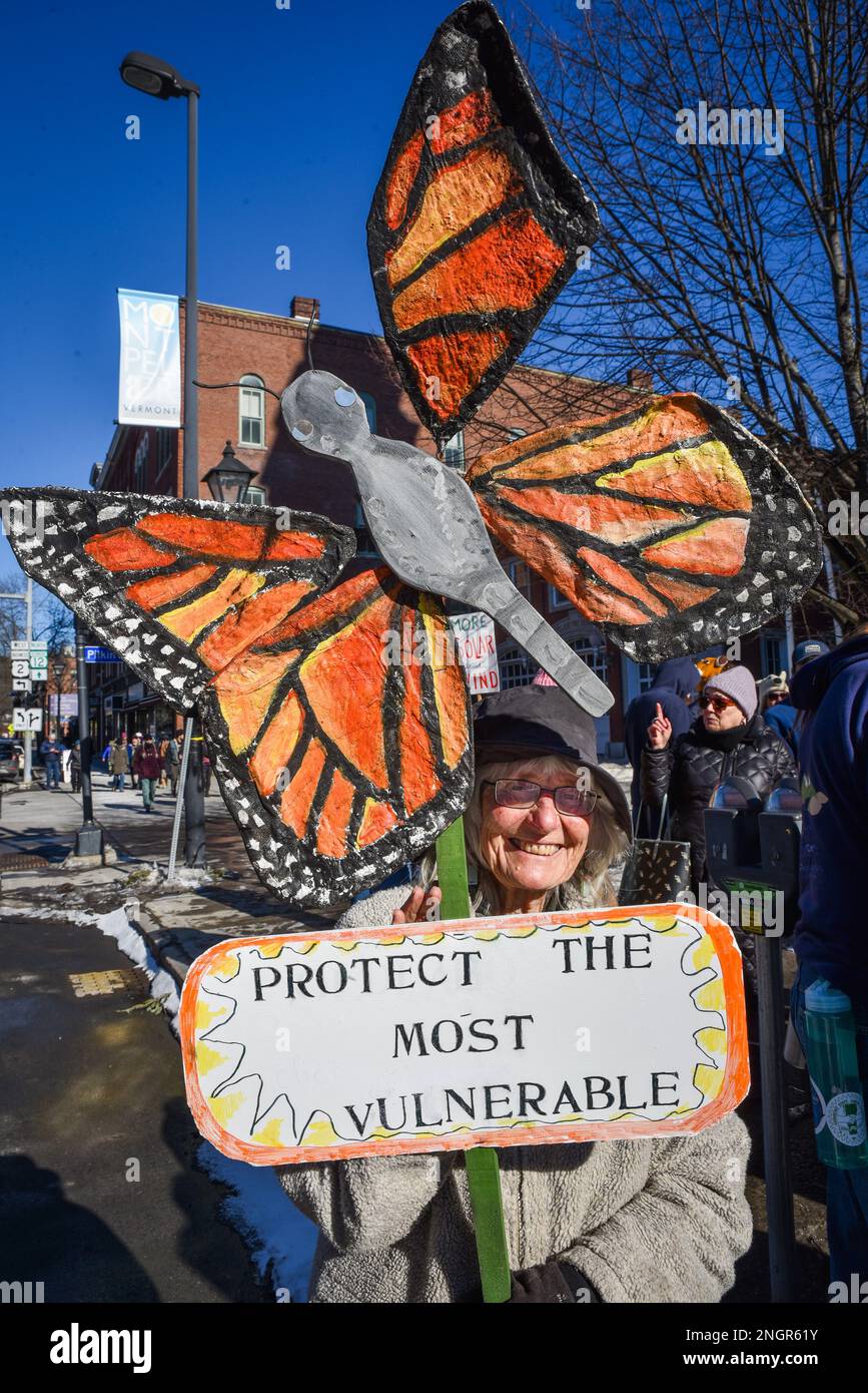 Proteggi il segno vulnerabile in una marcia che chiede un'azione per combattere il cambiamento climatico, Montpelier, VT, USA. Foto Stock