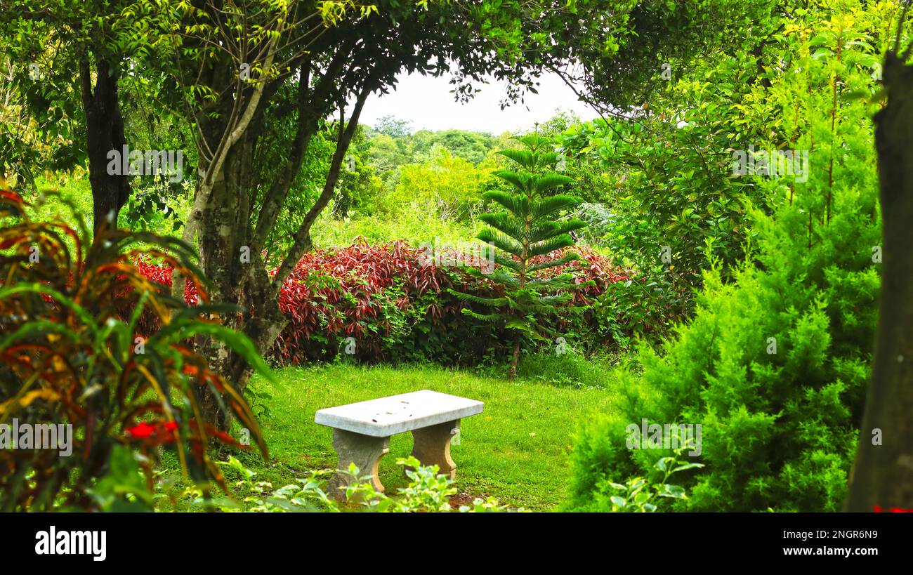 Verde sfondo naturale Foto Stock