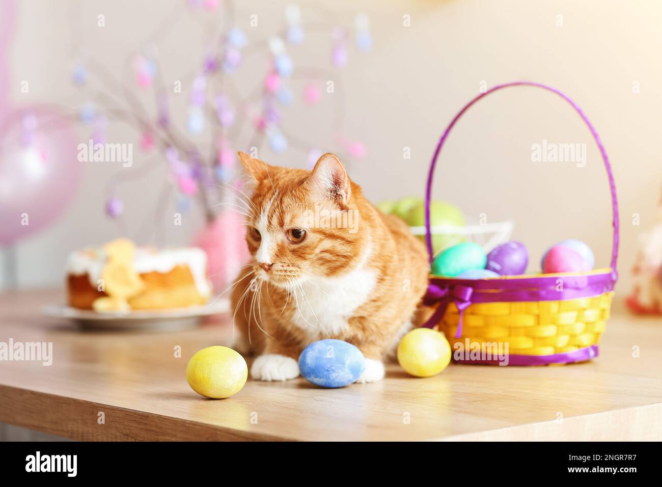 Carino gatto rosso con uova di Pasqua a casa Foto stock - Alamy