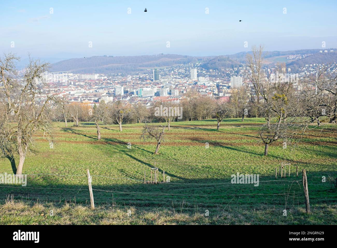 Lörrach, una piccola città della Germania meridionale Foto Stock