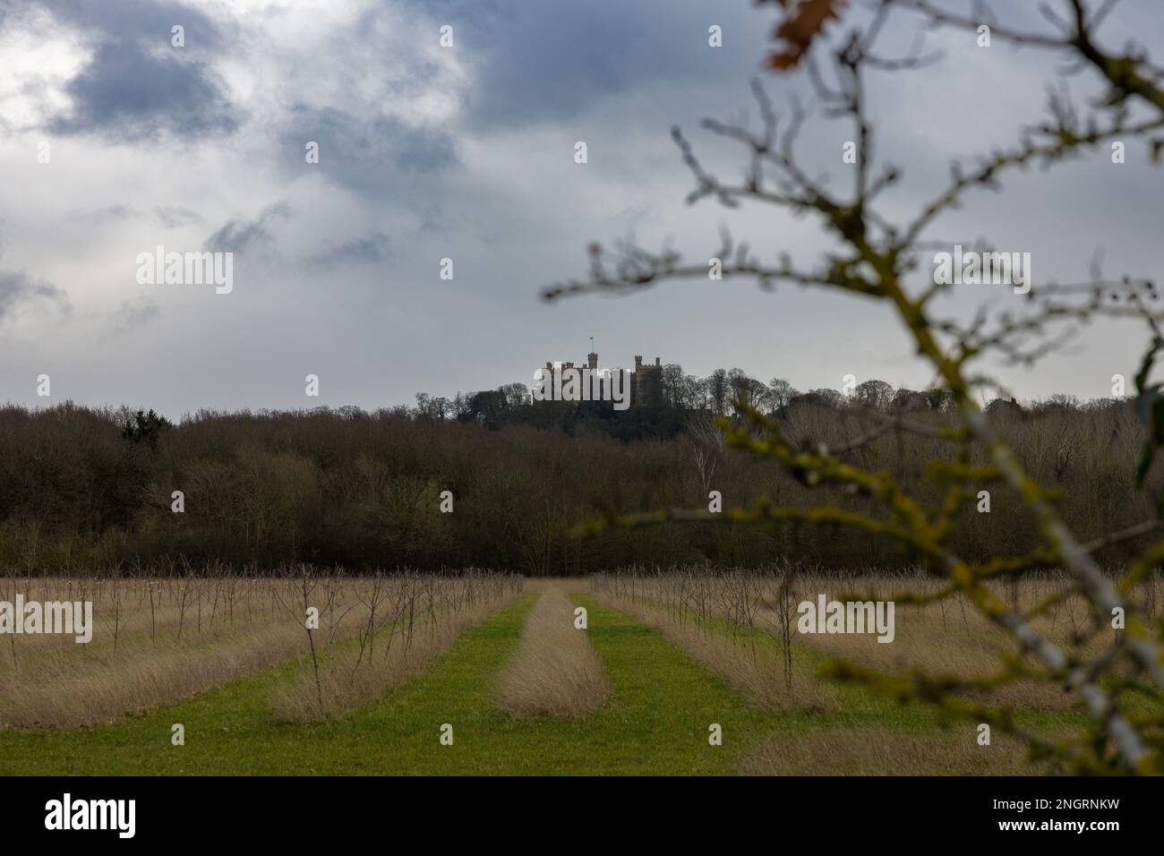 Castello di Belvoir 23 Foto Stock
