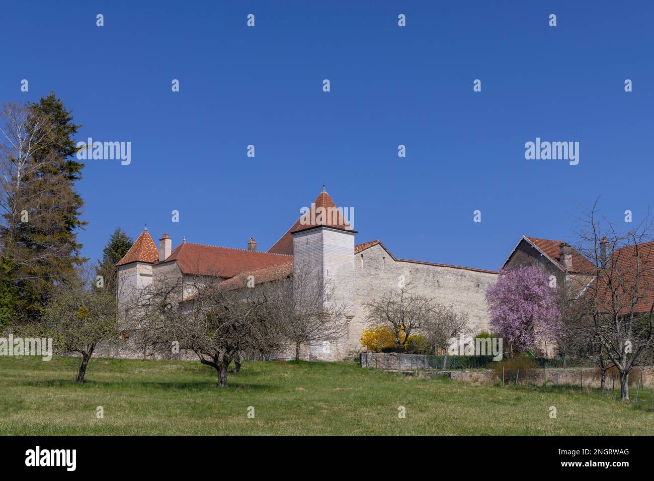 Montbozon castello, Haute-Saone, Francia Foto Stock