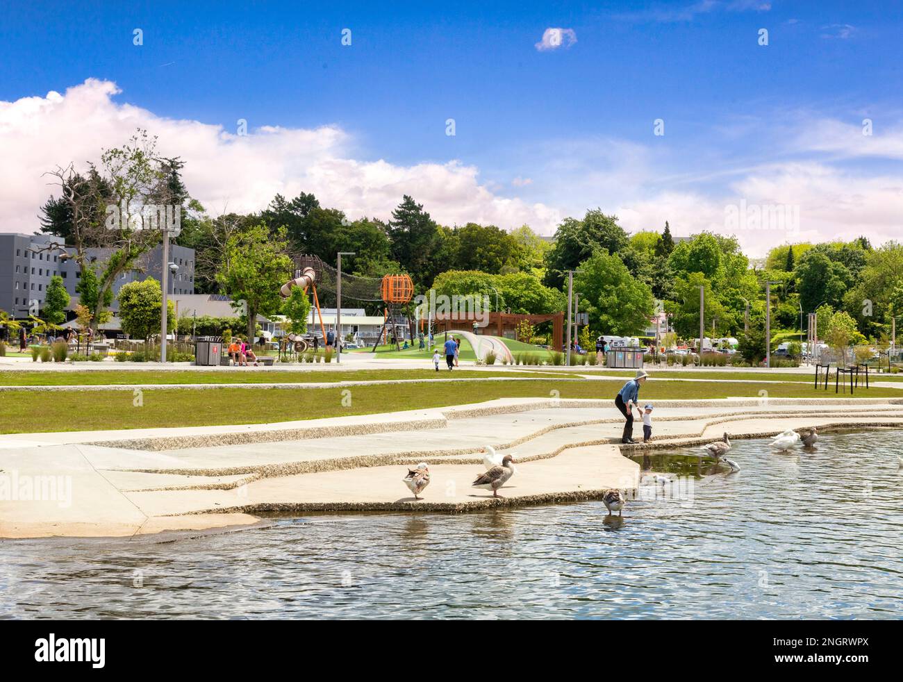 13 dicembre 2022: Lago Rotorua, Baia di Plenty, Nuova Zelanda - Riserva sul lungolago, con parco giochi per bambini e madre e bambini che nutrono anatre e gees Foto Stock