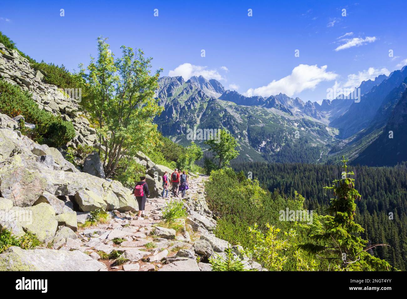 Persone che camminano il sentiero escursionistico nei monti Tatra vicino Pradske Pleso, Slovacchia Foto Stock