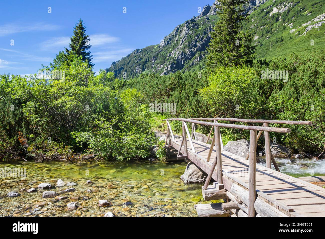 Ponte di legno che attraversa un ruscello sul sentiero escursionistico a Pradske Pleso, Slovacchia Foto Stock