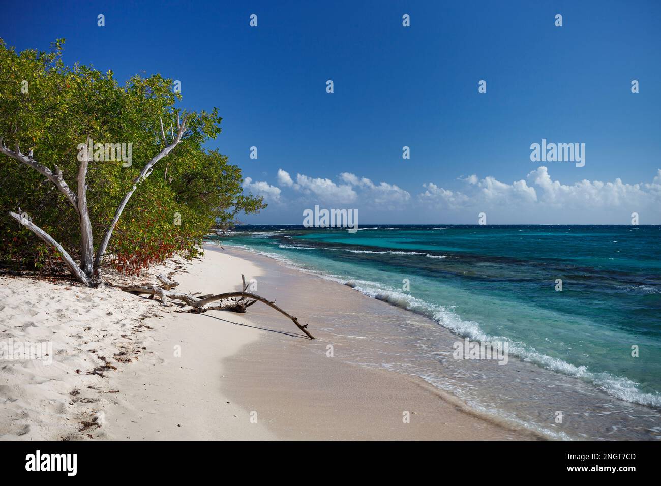 Calce Cay Kingston Jamaica Little Island spiaggia Foto Stock