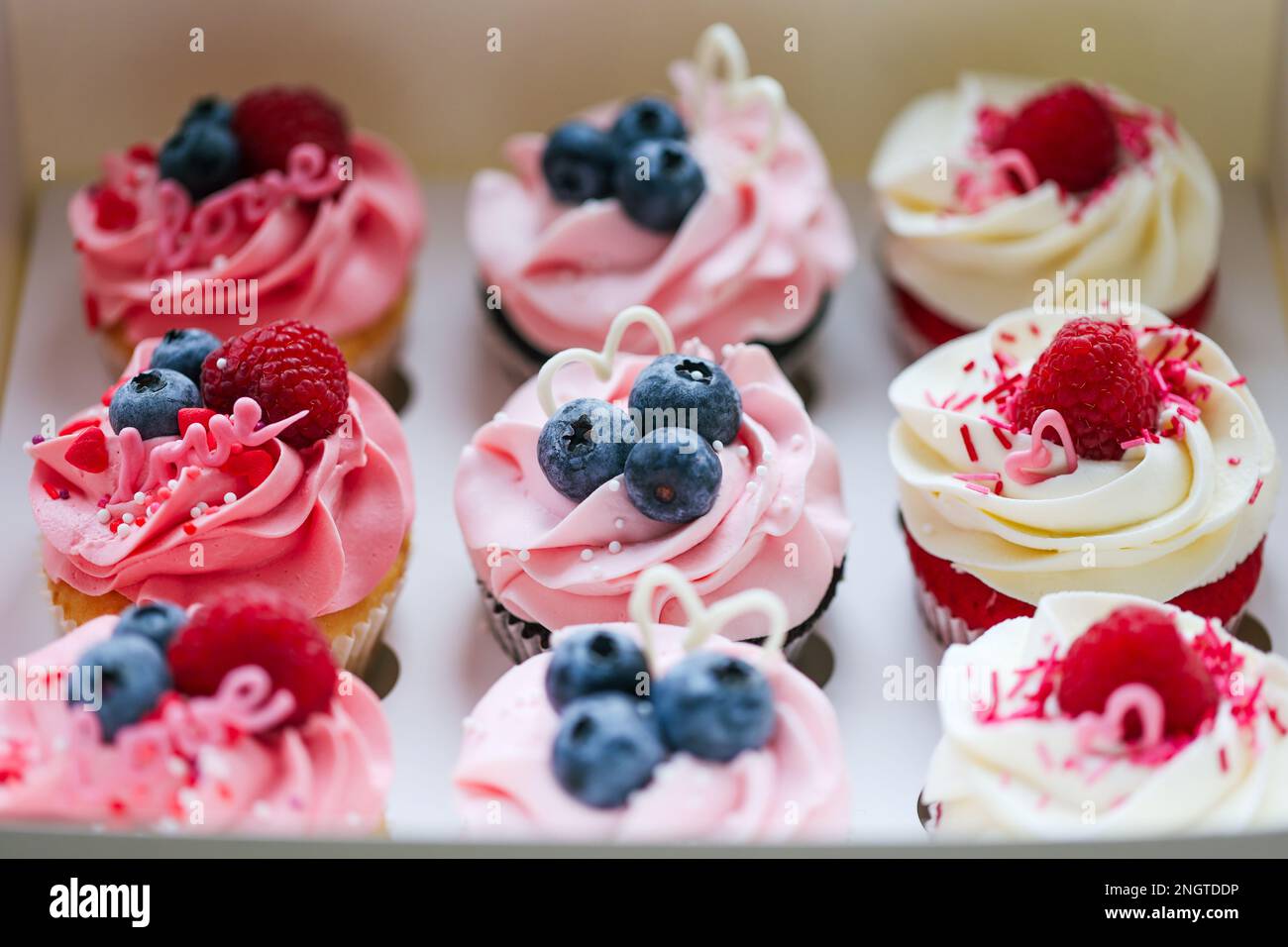 Cupcake freschi e deliziosi con crema di formaggio e frutti di bosco freschi. Vista dall'alto di gustosi cupcake disposti in scatola di cartone isolato su bianco. Torte con c Foto Stock