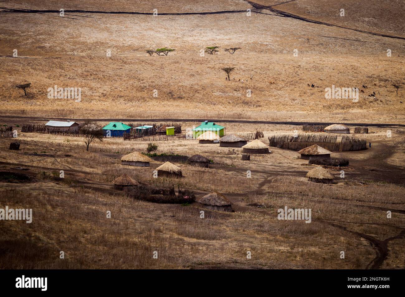 villaggio di maasai, africa, tansania, ngorongoro Foto Stock