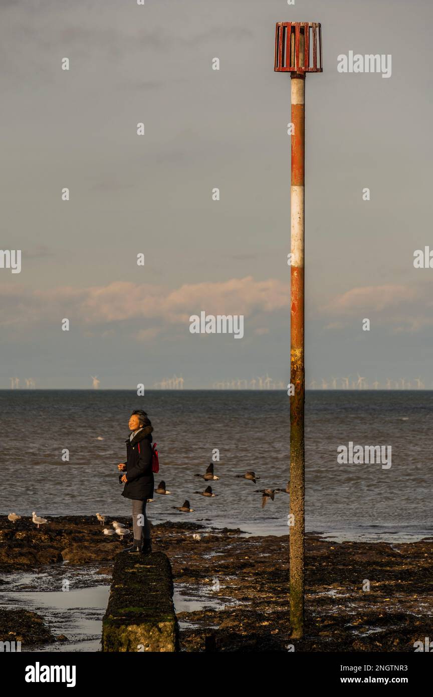 Margate, Regno Unito. 17 Feb 2023. Godetevi la spiaggia e le piscine rocciose con l'enorme fattoria eolica estuario del Tamigi sullo sfondo. Vita sul lungomare Margate. Credit: Guy Bell/Alamy Live News Foto Stock