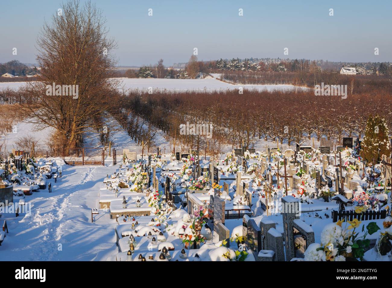 Frutteto di mele e cimitero nel villaggio di Rogow in Lodzkie Voivodato della Polonia Foto Stock