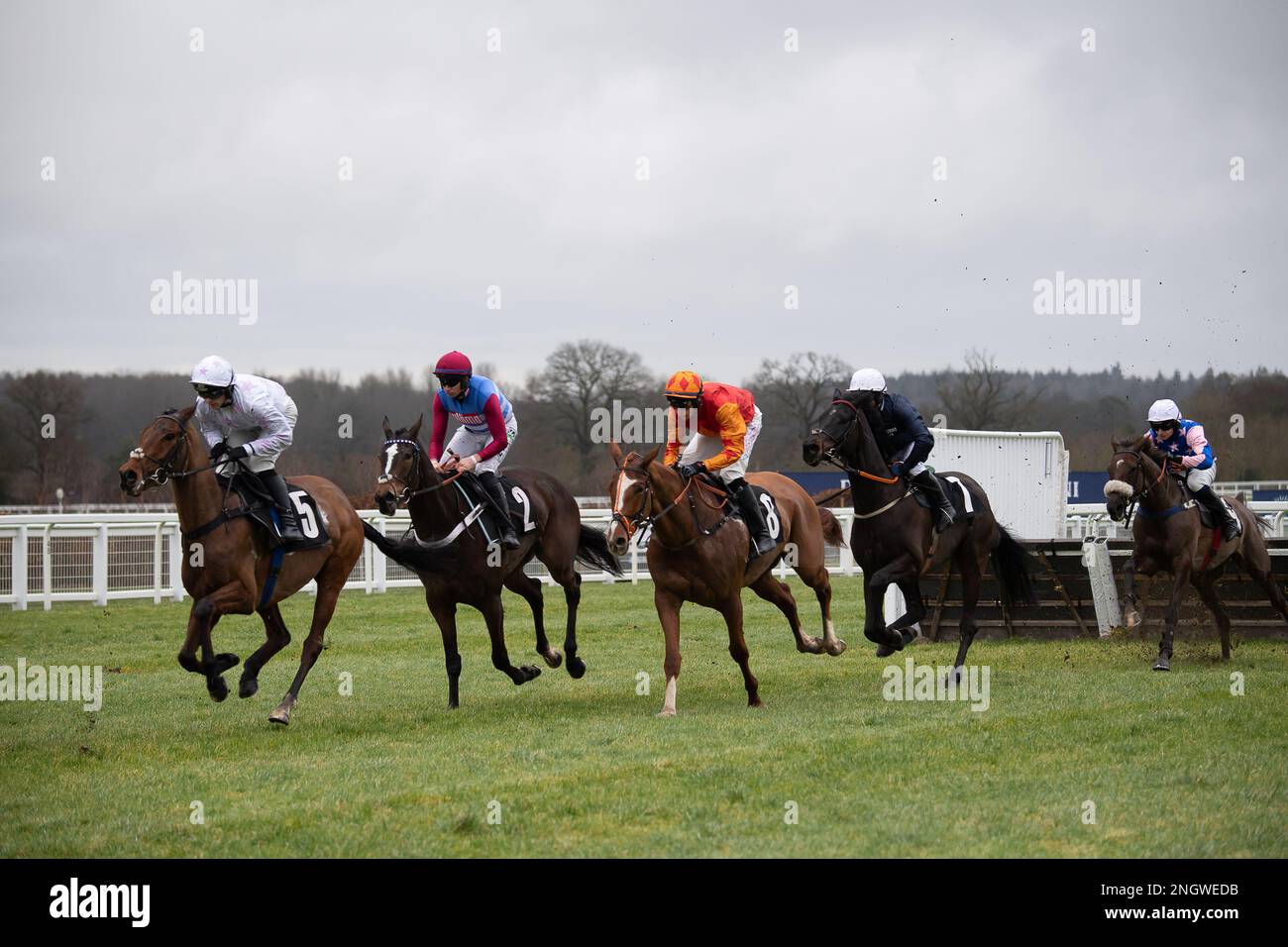 Ascot, Berkshire, Regno Unito. 18th febbraio, 2023. Horse Springwell Bay (n. 5) guidato dal jockey Jonjo o'Neill Races nell'ippodromo di Ascot supporta Schools Poetry Competition Novices'Hindle Race (classe 2) al Betfair Ascot Chase Raceday. Credit: Maureen McLean/Alamy Live News Foto Stock