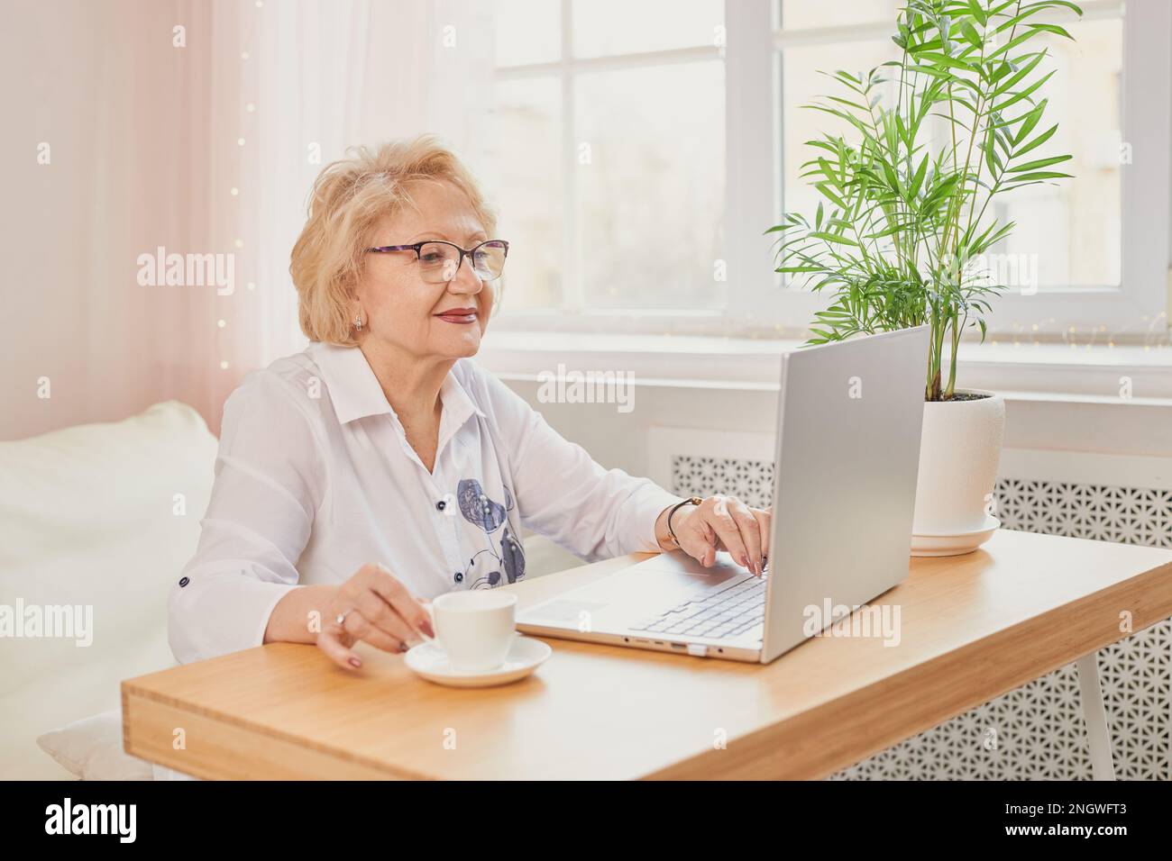 Felice matura anziana di mezza età donna che legge buone notizie guardando il laptop Foto Stock
