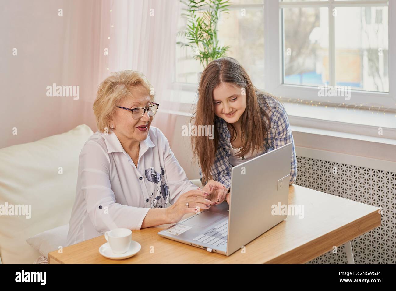 Nipote adulta che insegna alla nonna anziana di usare il computer portatile Foto Stock