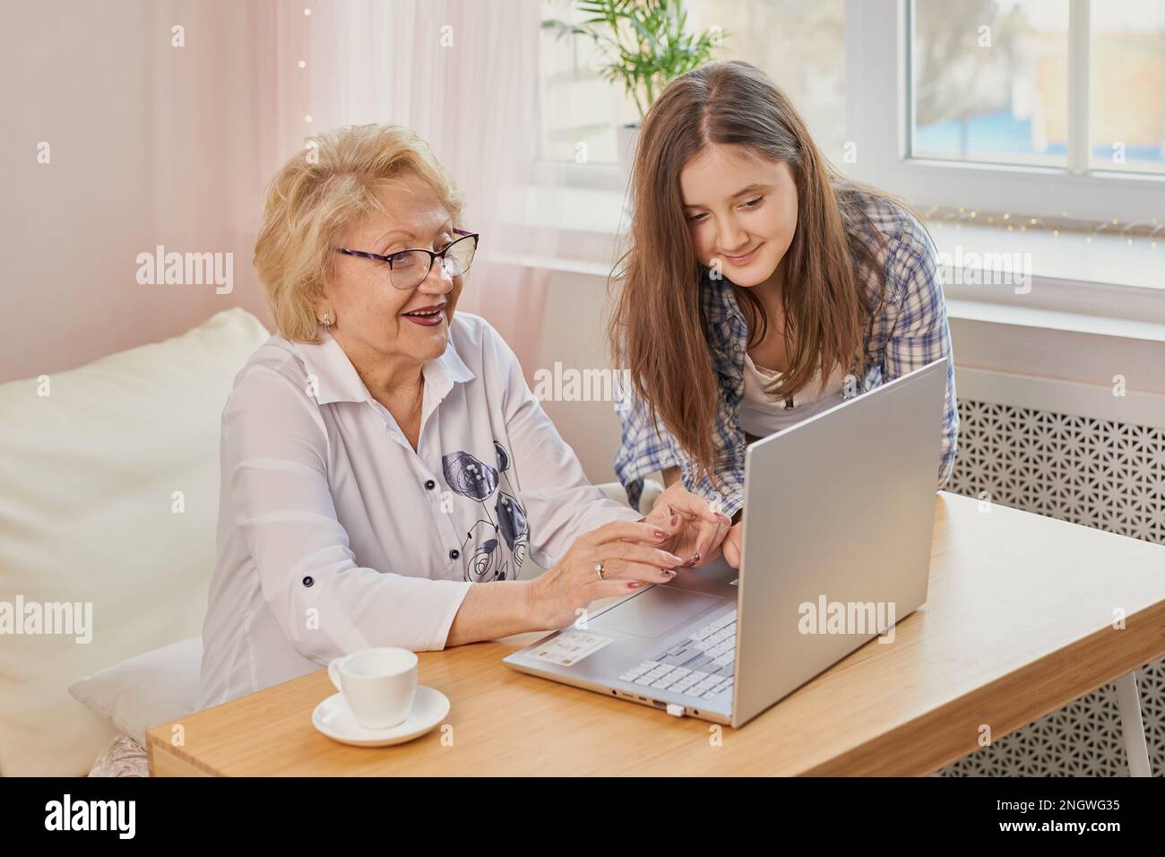 Nipote adulta che insegna alla nonna anziana di usare il computer portatile Foto Stock