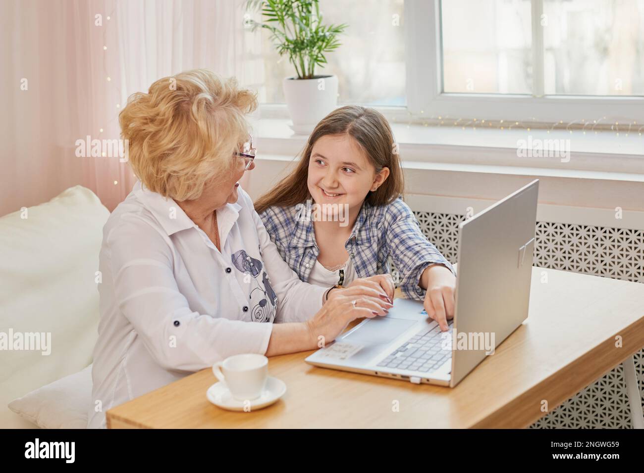 Nipote adulta che insegna alla nonna anziana di usare il computer portatile Foto Stock